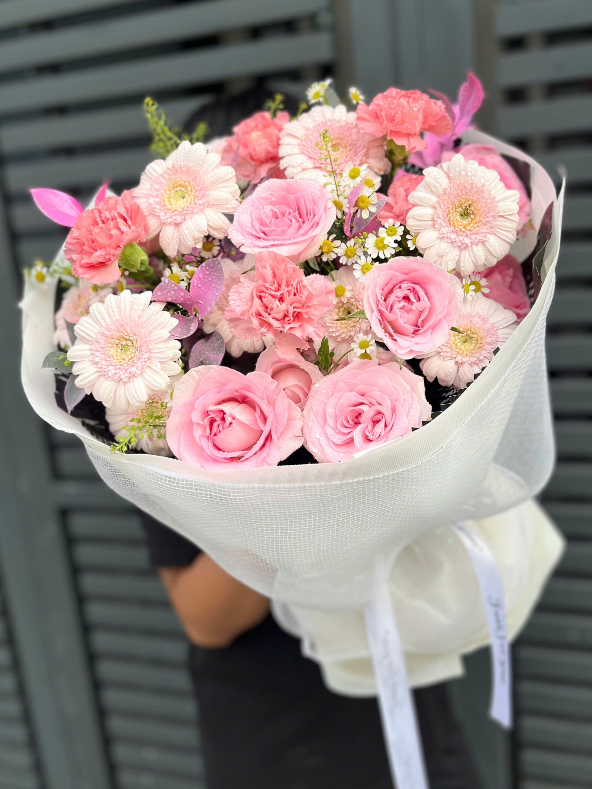 z7227066954346_293c3d87e42efc0d48e7a7340fe5a29e